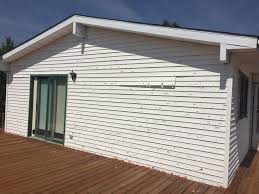 Best Custom Trim and Detailing for Siding  in Freemansburg, PA